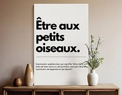 Affiches Humour québécois