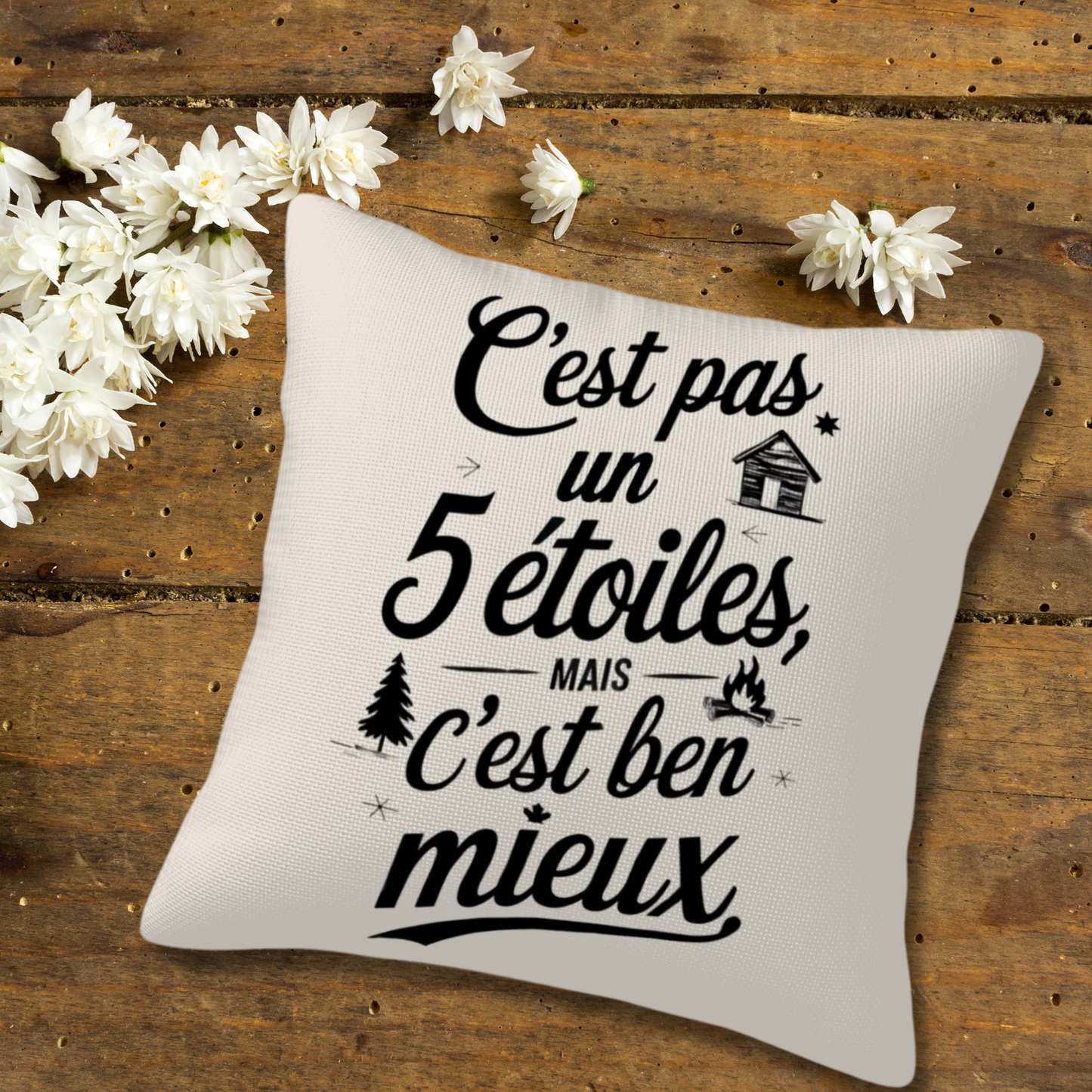 Coussin décoratif chalet rustique C'est pas un 5 étoiles